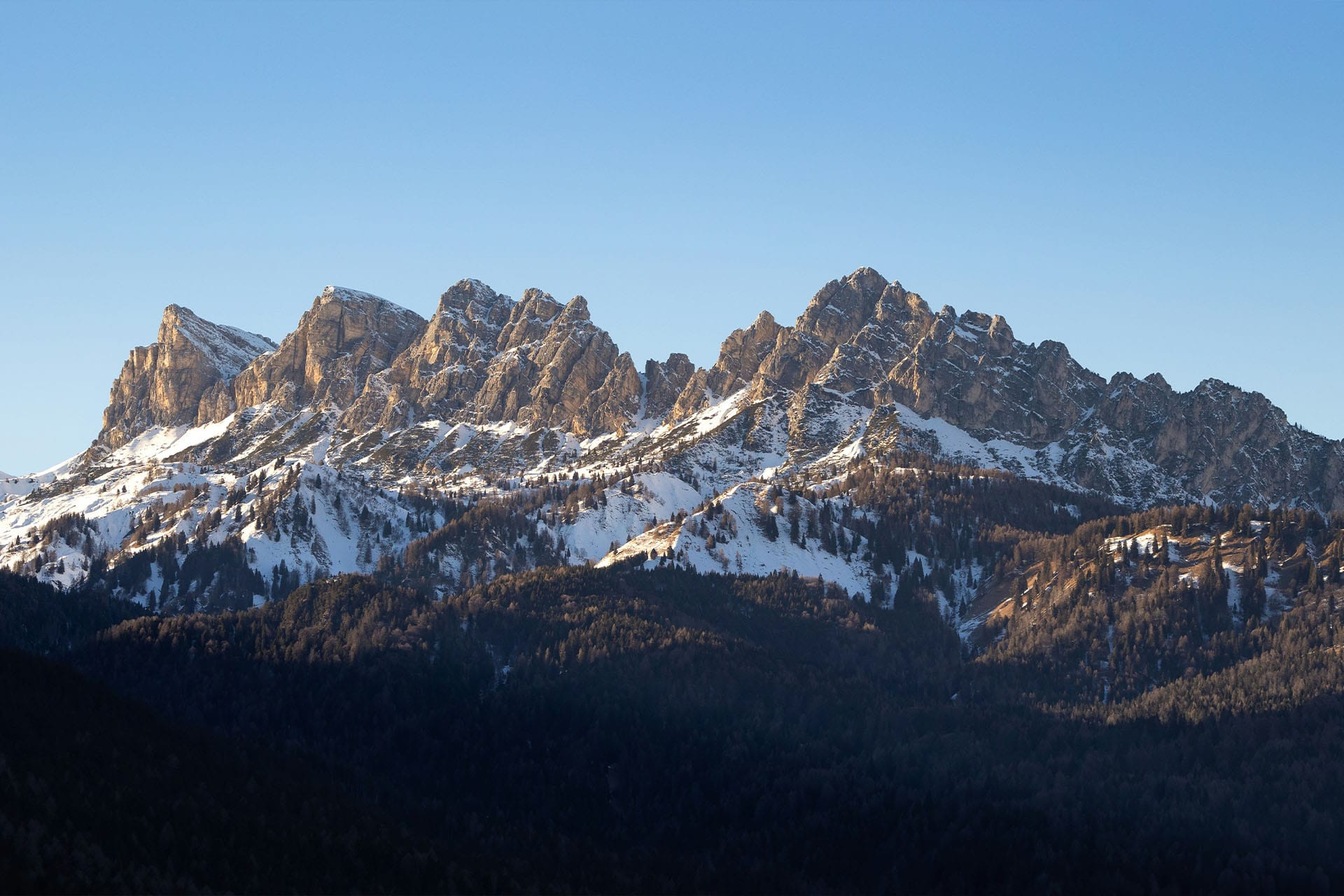 Immagine - 16f5350c-845c-4808-8773-c8b3763d9e42